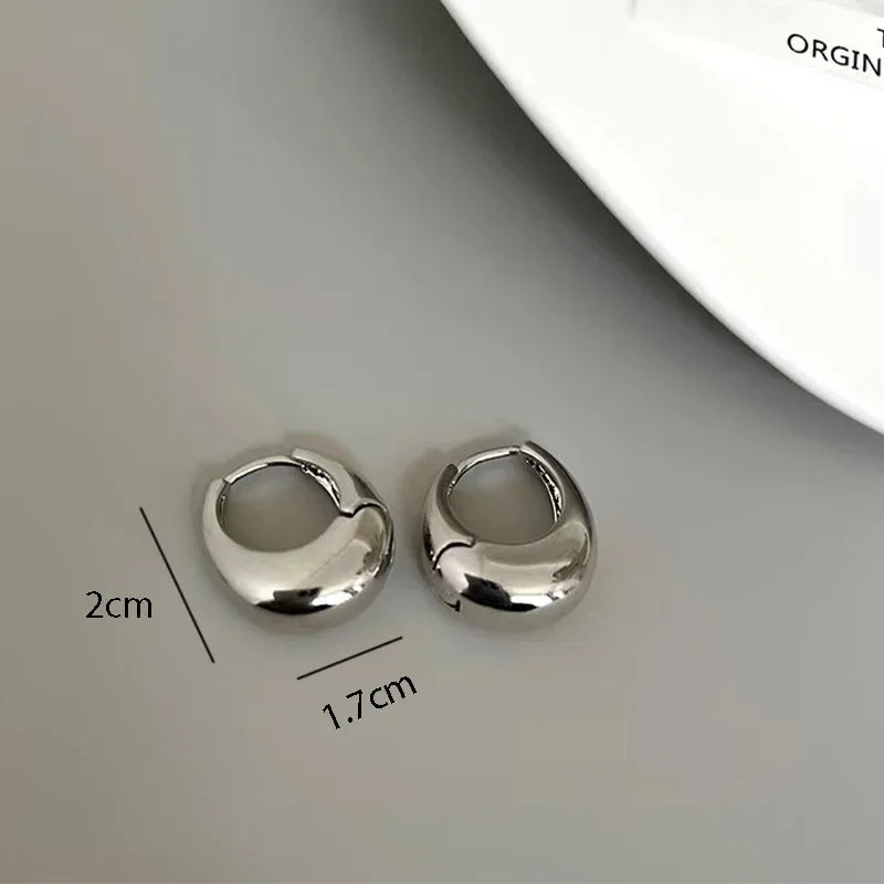 Stainless Steel Chunky Hoop Earrings For Women