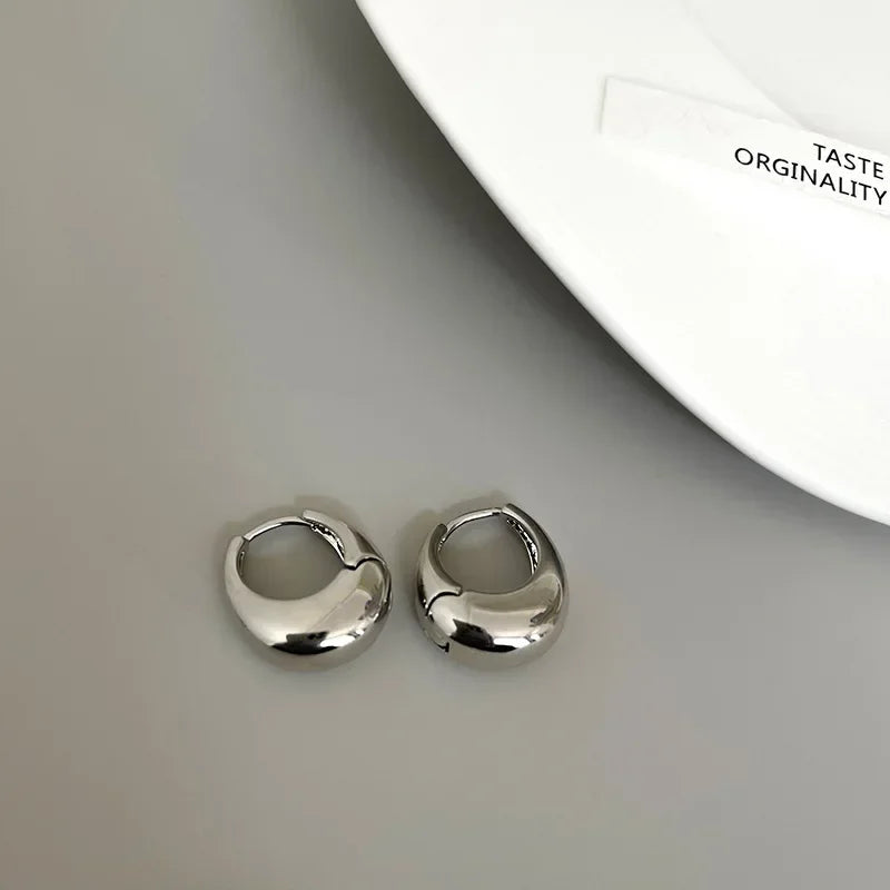 Stainless Steel Chunky Hoop Earrings For Women