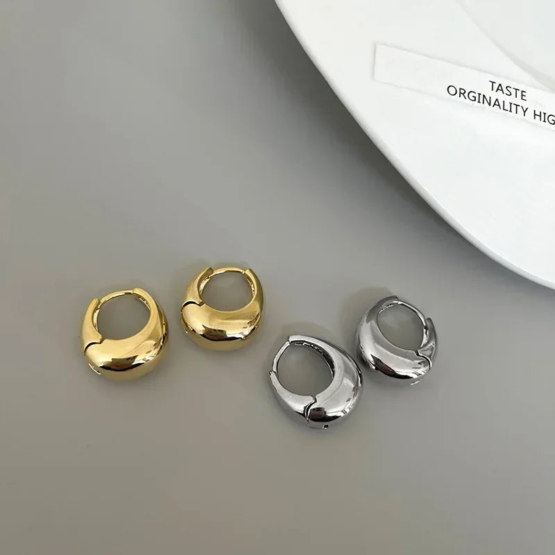 Stainless Steel Chunky Hoop Earrings For Women