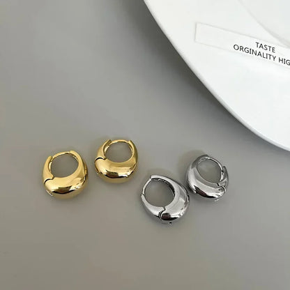 Stainless Steel Chunky Hoop Earrings For Women